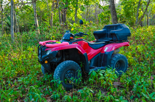 Surf Break to Surf Break: Letting Conditions Rainy Season in Santa Teresa: Slowing Decide the Day