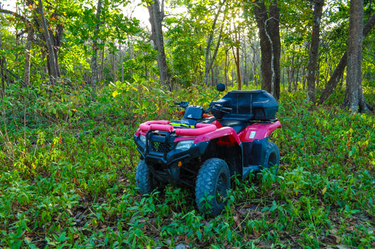 Working Remote in Santa Teresa Without Losing the Magic