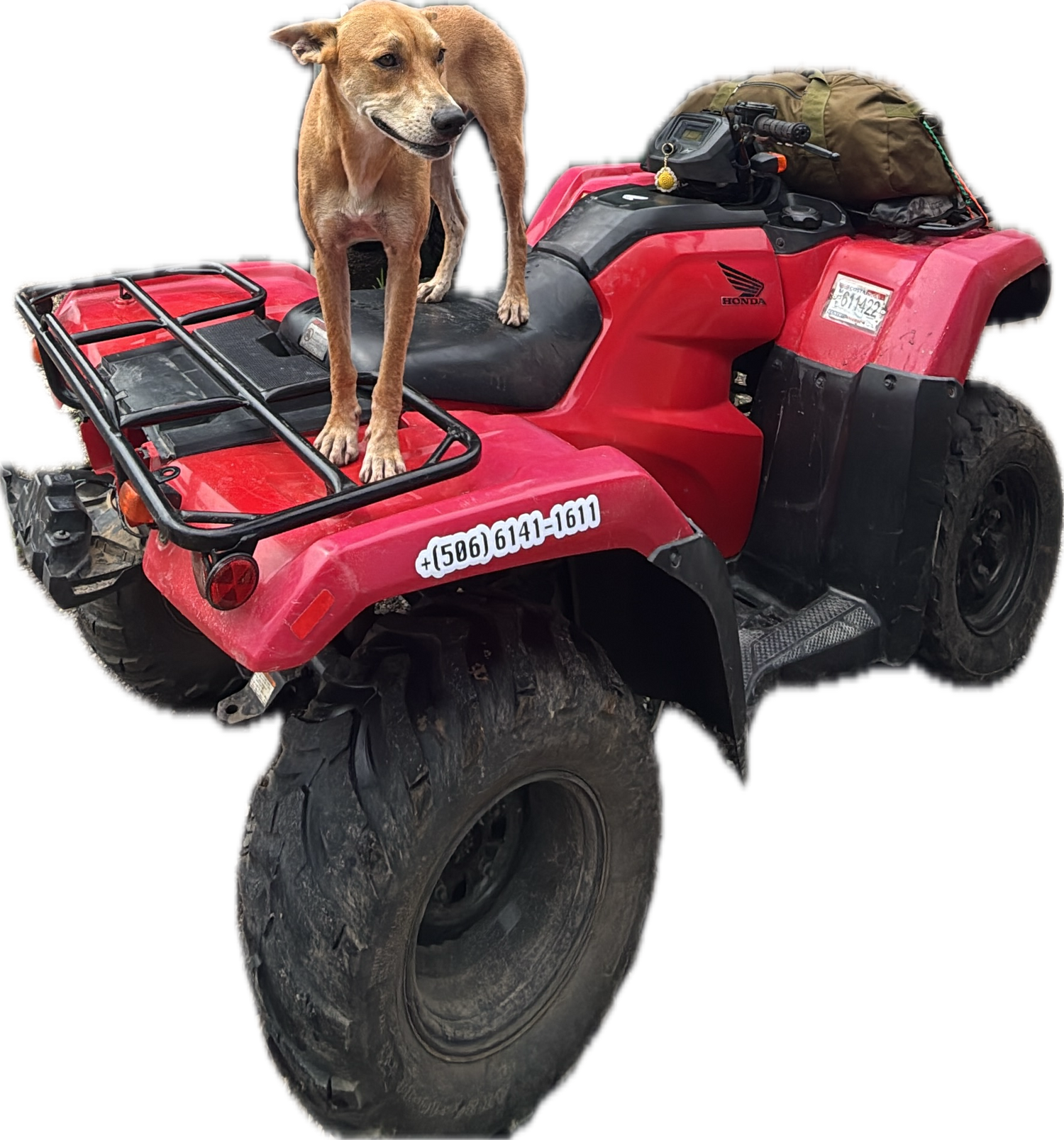 ATV Rentals | Santa Teresa, CR