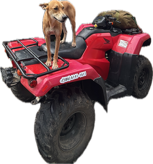 Honda 420cc ATV Rentals | SunDrip Costa Rica
